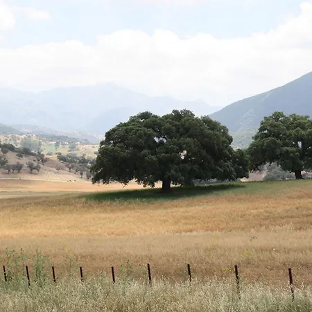 Tugasa De